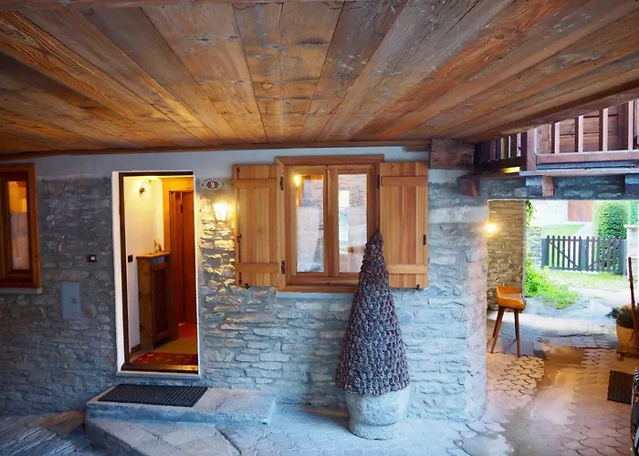 Cozy Nest * 쿠르마예